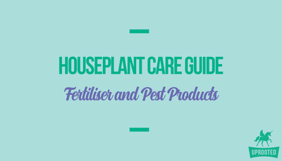 Fertiliser and Pest Products: Houseplant Care Guide
