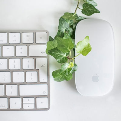 Tips on Choosing a Plant Online