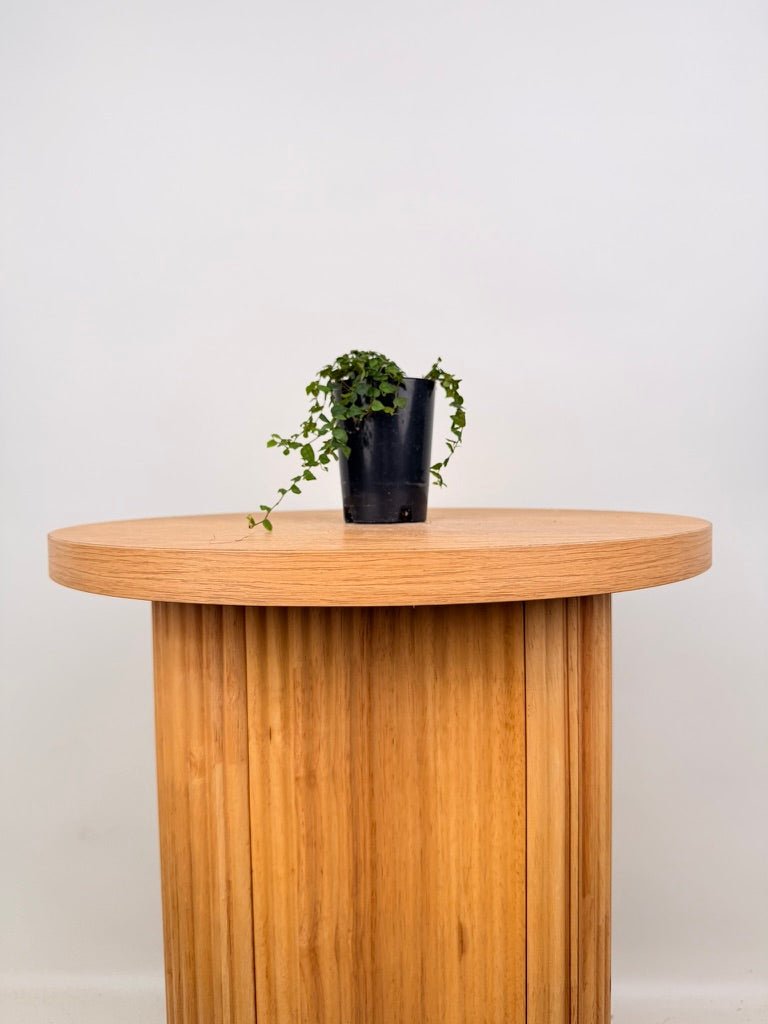Ficus Pumila - Minima | Uprooted
