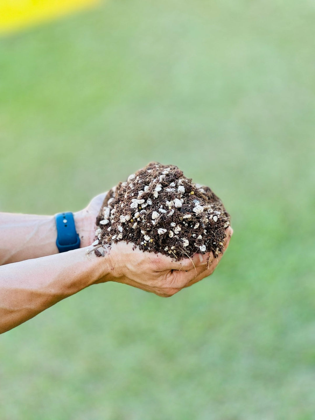 potting mix australia Premium Chunky Potting Mix | Uprooted