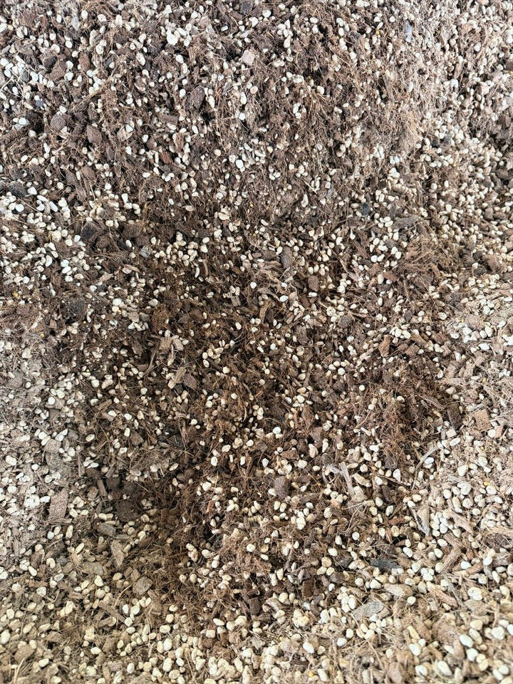 Premium Chunky Potting Mix | Uprooted