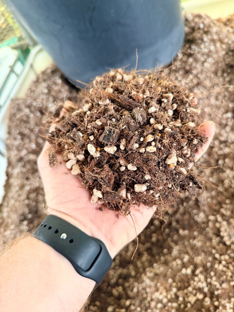 Premium Chunky Potting Mix | Uprooted