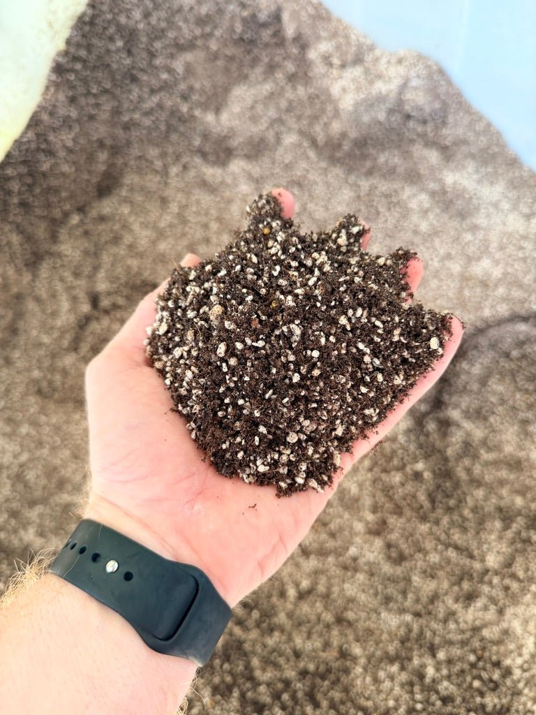 Premium Fine Potting Mix | Uprooted