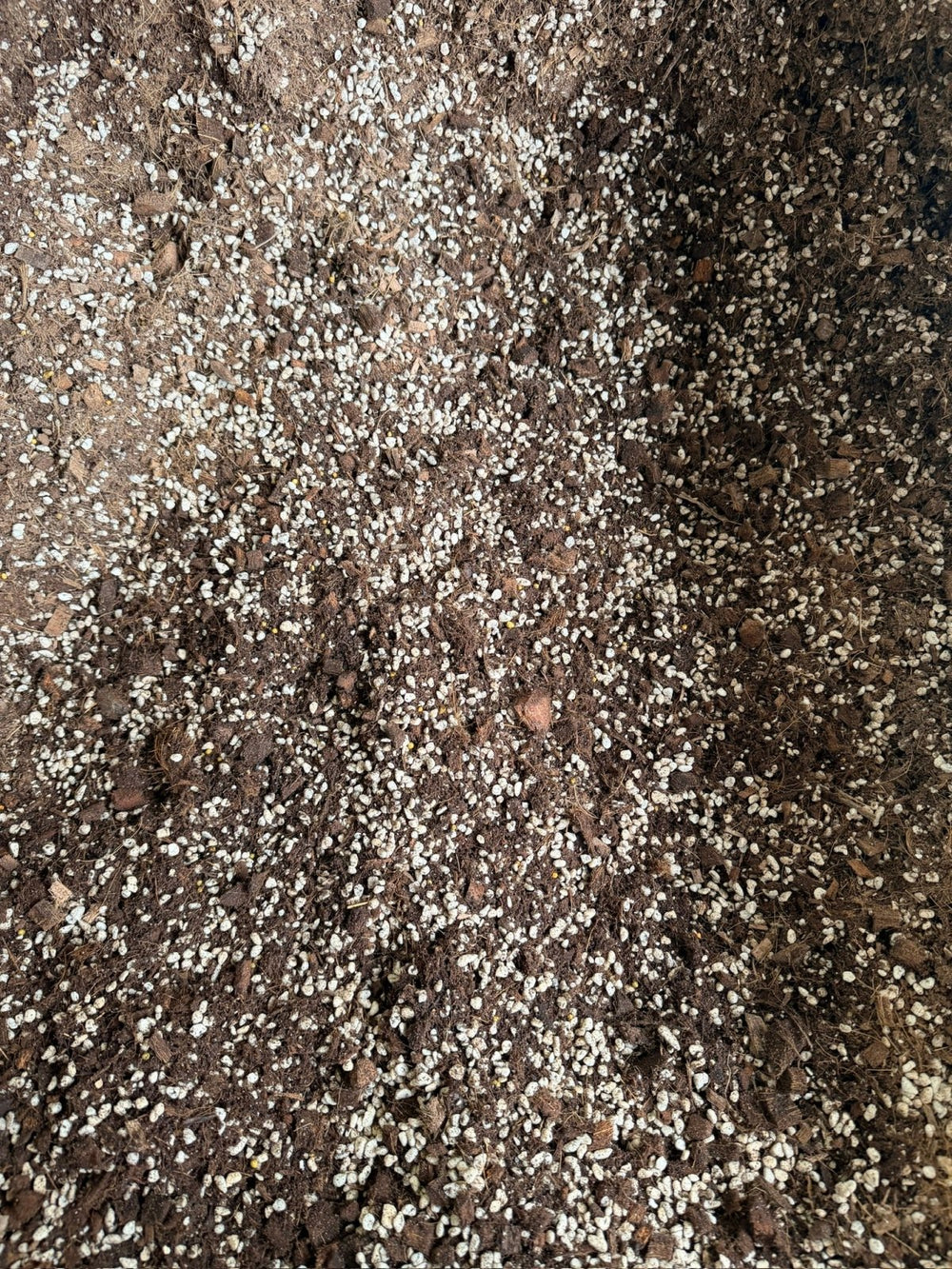 Premium Indoor Plant Potting Mix | Uprooted