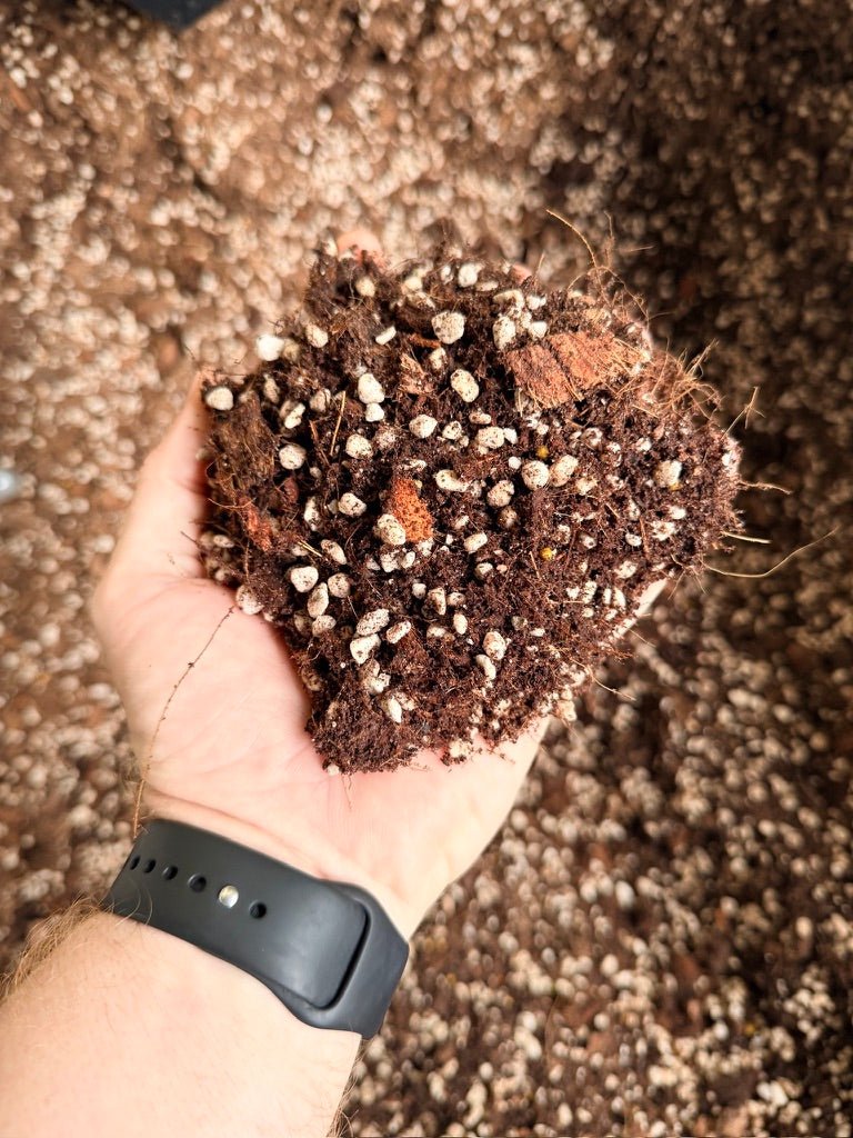 Premium Indoor Plant Potting Mix | Uprooted