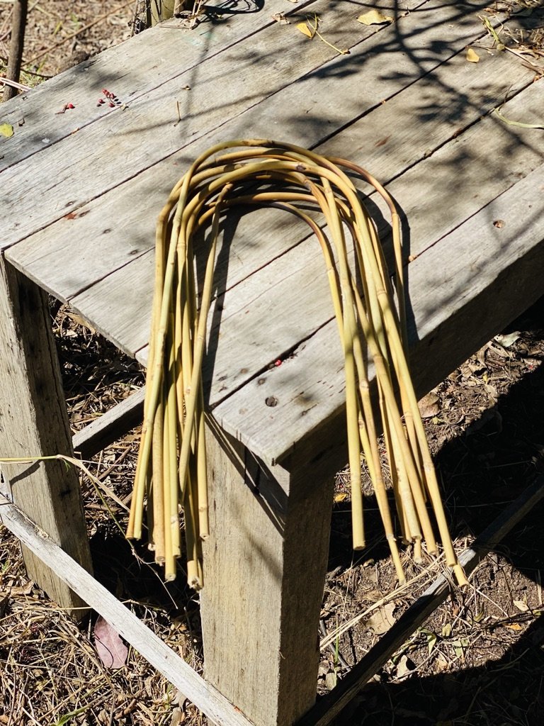 Bamboo Hoop - 10 pack | Uprooted