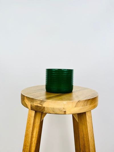 Clip On Saucer 130mm - Jade Green - 10 pack | Uprooted