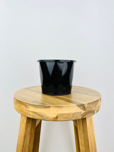 Impulse Pot 130mm - Black - 10 Pack | Uprooted