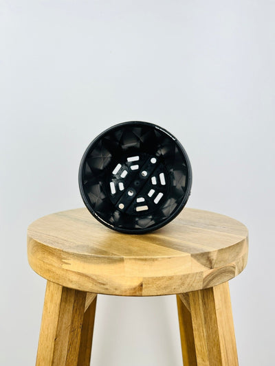 Impulse Pot 130mm - Black - 10 Pack | Uprooted