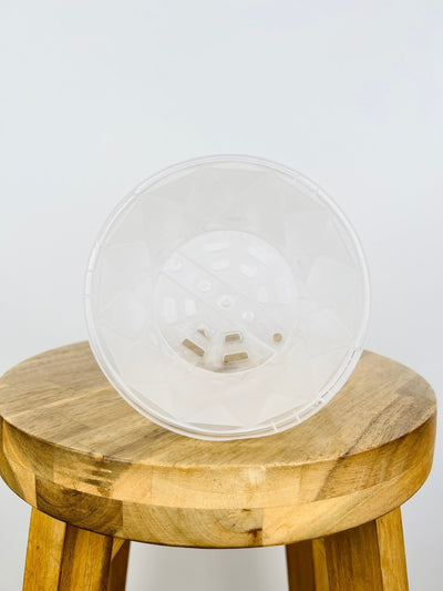 Impulse Pot 130mm - Clear - 10 Pack | Uprooted