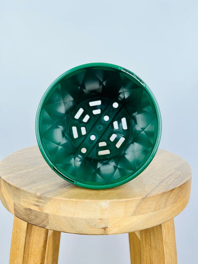 Impulse Pot 130mm - Jade Green - 10 Pack | Uprooted