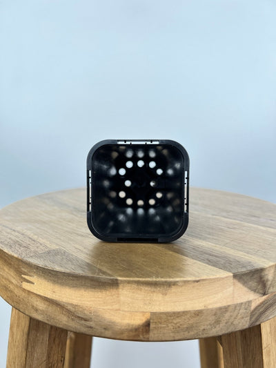 Square Pot 68mm Square - Black - 10 Pack | Uprooted