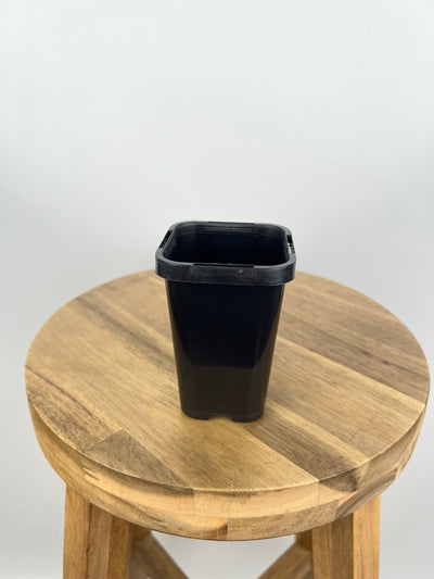 Square Pot 68mm Square - Black - 10 Pack | Uprooted
