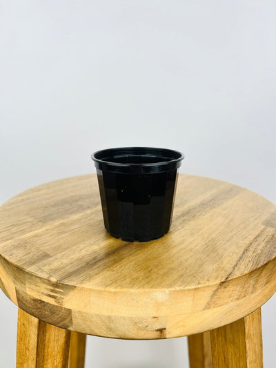 Squat Pot 70mm - Black - 10 Pack | Uprooted