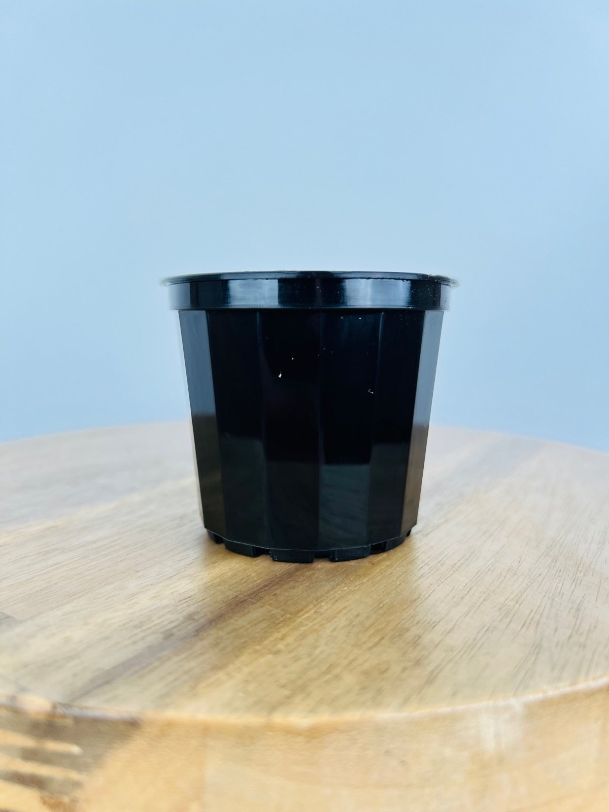 Squat Pot 70mm - Black - 10 Pack | Uprooted
