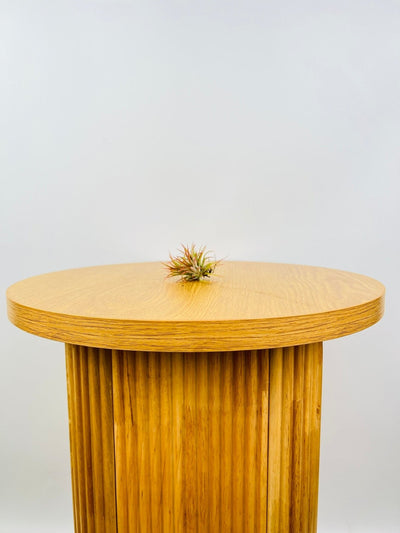 Tillandsia Ionantha - Mexico | Uprooted